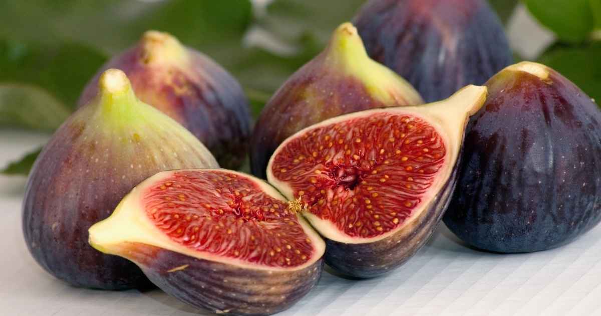 ドライいちじくの栄養成分｜身体にうれしいパワーがたっぷり